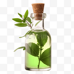 香薰精油植物绿色透明