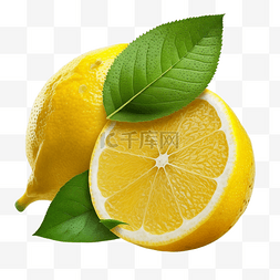 板画图片_柠檬水果写实透明
