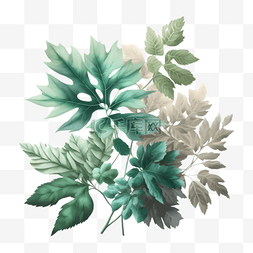 植物绿叶水彩插画
