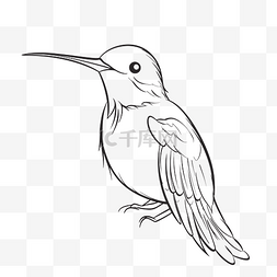 黑色的翅膀图片图片_蜂鸟是用黑白轮廓草图绘制的 向