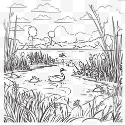 鸭子在湖边游泳着色页轮廓素描 