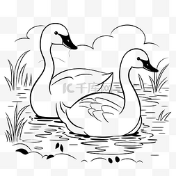 天鵝图片_两只卡通天鹅在水中着色页轮廓素