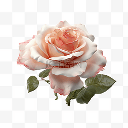 粉色玫瑰花落下图片_玫瑰粉色花瓣