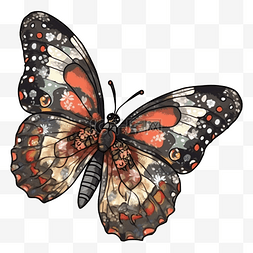 蝴蝶杂色斑纹图案