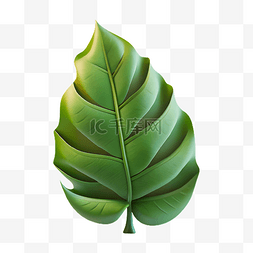 绿叶立体植物图片_植物叶子绿色卡通插画