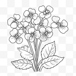 花朵黑图片_绘制花朵和叶子的图像着色页轮廓
