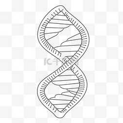 dna结构图图片_可打印的 dna 链着色页轮廓草图 向