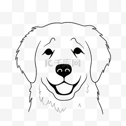 黑色的猎犬图片_快乐的金毛猎犬脸着色页轮廓素描