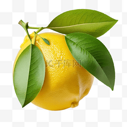 柠檬切图片_柠檬有机水果新鲜透明