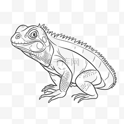 鬣蜥蜥蜴着色页轮廓草图的线条图