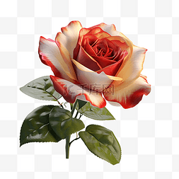 平阴玫瑰种植图片_玫瑰绿叶鲜花