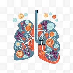 哮喘日肺部器官
