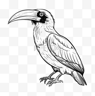 鸟黑白图片_鸟黑白素材-鸟黑白图片大全-千库网