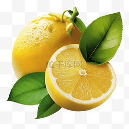新鲜柑橘图片_柠檬叶子新鲜透明