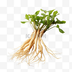 合成根茎植物元素立体免抠图案