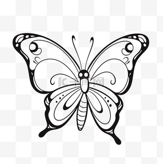 蝴蝶着色页免费蝴蝶图案轮廓素描绘图 向量