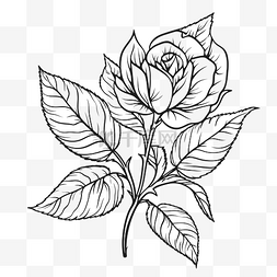 玫瑰着色素描的轮廓 向量