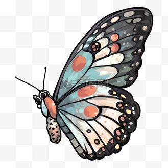 蝴蝶粉蓝色侧面图案