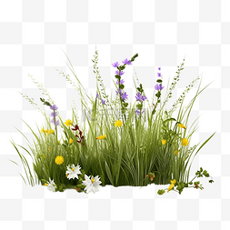 草丛紫色花条