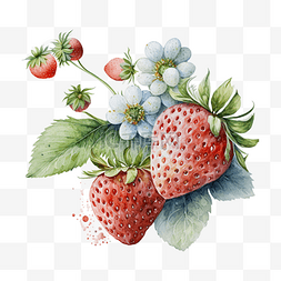 中风图片_水彩草莓艺术插画配图