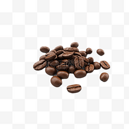 咖啡豆食物立体