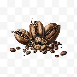 咖啡豆褐色卡通
