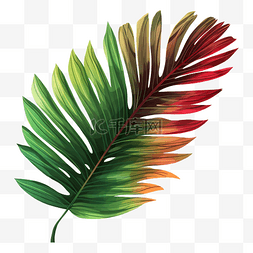 水彩椰树叶图片_叶子棕榈叶多彩图案