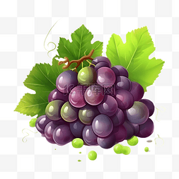 葡萄水果紫色的插画