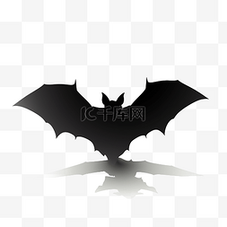 展开白色翅膀图片_飞翔的蝙蝠黑色翅膀