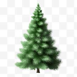 新年素材绿草图片_圣诞节圣诞树