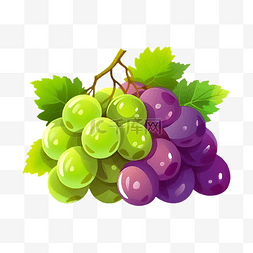 葡萄水果新鲜的插画
