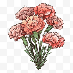 康乃馨花束粉色图案