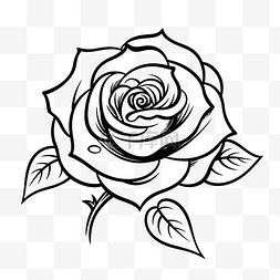 玫瑰花瓣线描图片_白色背景上的玫瑰黑白纹身轮廓素
