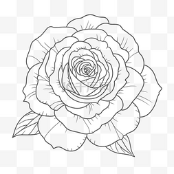 黑背景白色花图片_白色背景轮廓草图上的玫瑰着色页