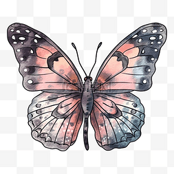 蝴蝶粉白蓝色图案