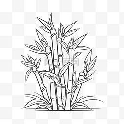 竹子植物线条艺术插图手绘矢量 il