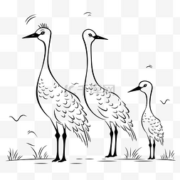 两只鹤和两只小鸡的绘图轮廓草图