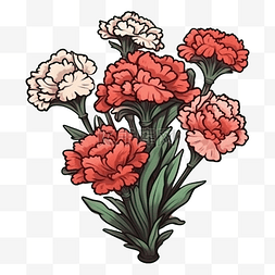 红色康乃馨花朵图片_康乃馨花束好看图案