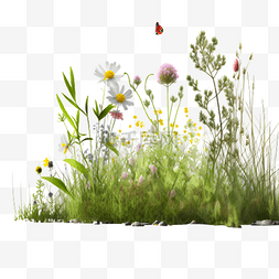 植物自然花草装饰图片_草丛野花绿色插画