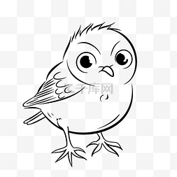 黑白照片图片_可爱的卡通鸟儿童着色页轮廓素描