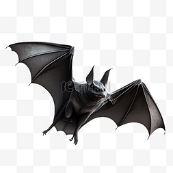 蝙蝠黑色动物白底透明