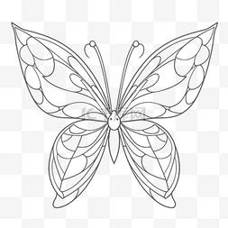 白色翅膀蝴蝶图片_彩绘玻璃蝴蝶画轮廓素描 向量