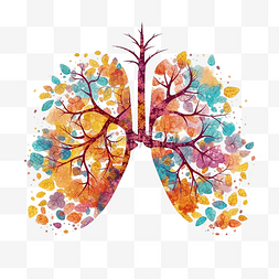 哮喘日彩色肺部