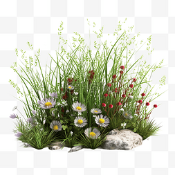 草丛石头花朵