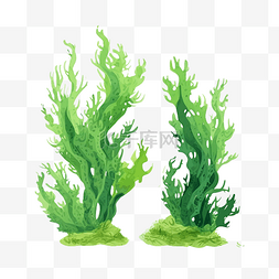 植物海洋图片_海洋日绿色卡通海草