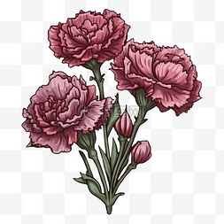 花朵插画装饰图片_康乃馨紫色图案