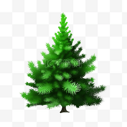 气氛图片_圣诞节树木绿色