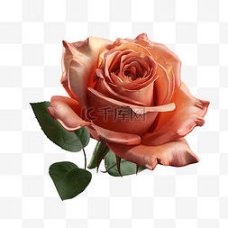 盛开的红玫瑰图片_玫瑰红色花瓣绿叶