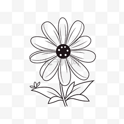 雏菊黑白图片_白色雏菊花轮廓草图的黑白绘图 