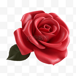 红色植物花朵绿叶图片_玫瑰花红色立体插画